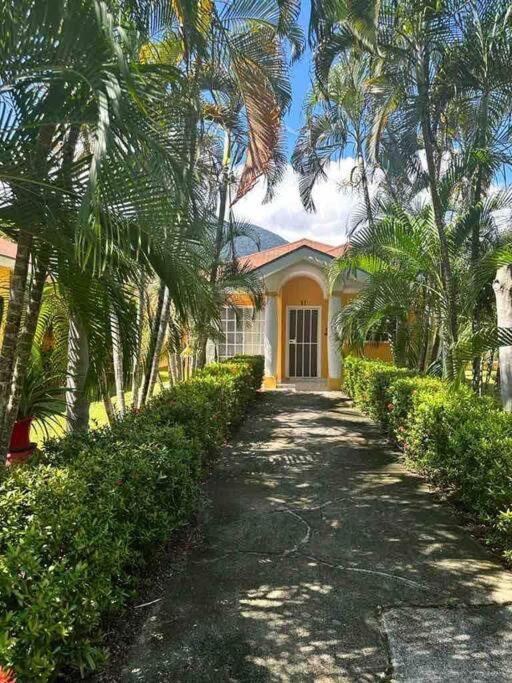 Villa De Ali In Palma Real Ла Сейба Екстериор снимка